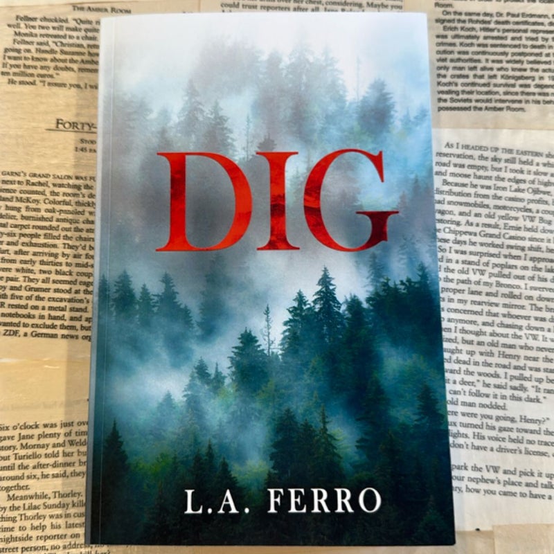 DIG: Special Edition