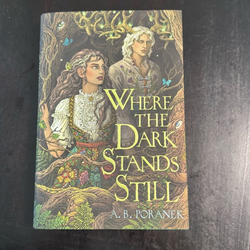 Where the Dark Stands Still