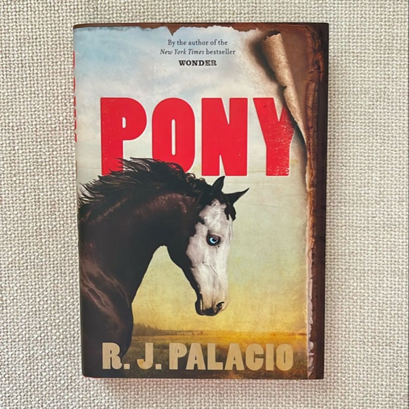 Pony