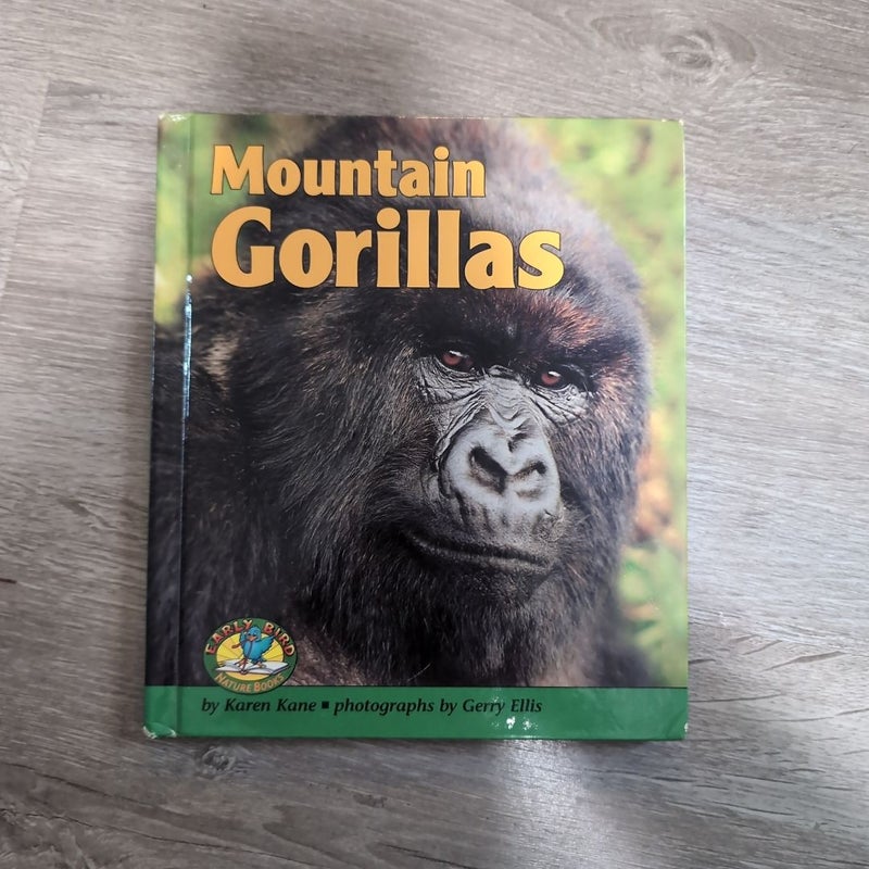 Mountain Gorillas