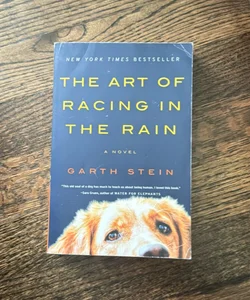 The Art of Racing in the Rain