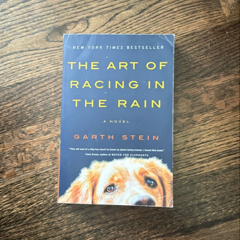 The Art of Racing in the Rain