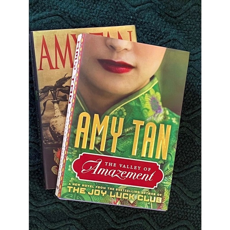 2 Novels by Amy Tam The Valley of Amazement and The Bonesetter's Daughter First Edition Hardcovers w/ Dust Jackets 