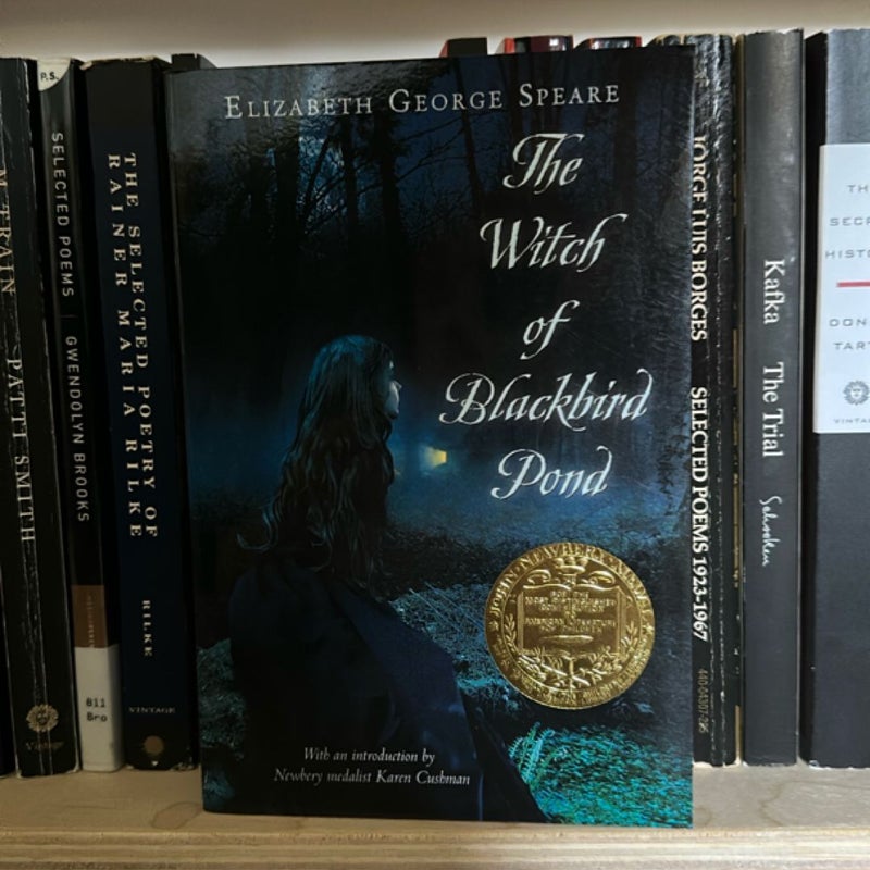 The Witch of Blackbird Pond
