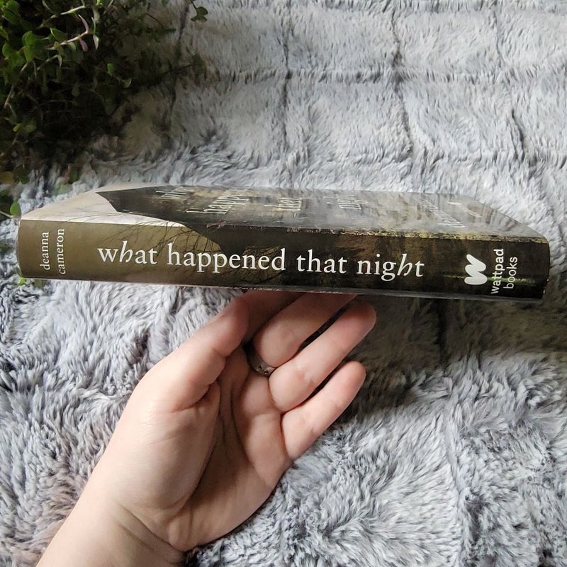 What Happened That Night
