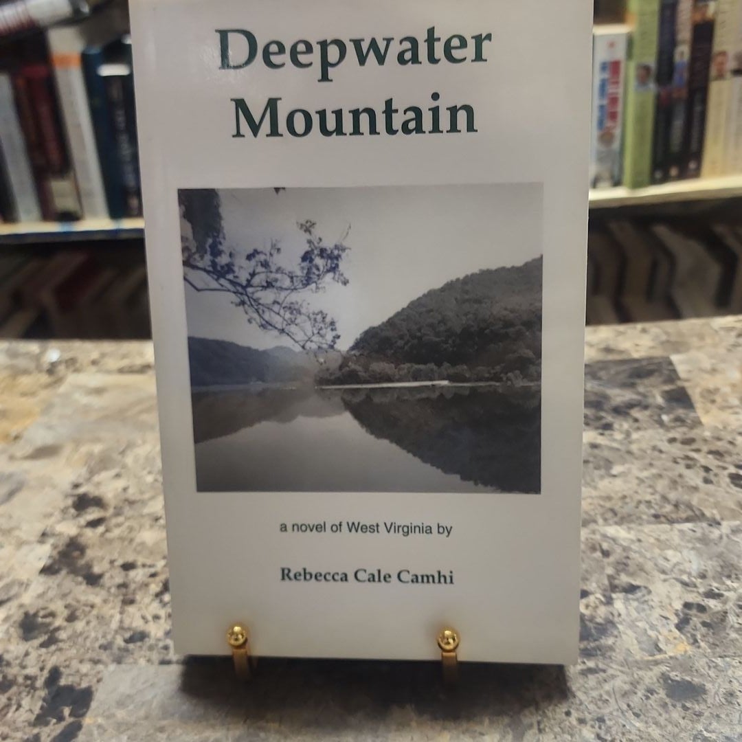 Deepwater Mountain by Rebecca Camhi