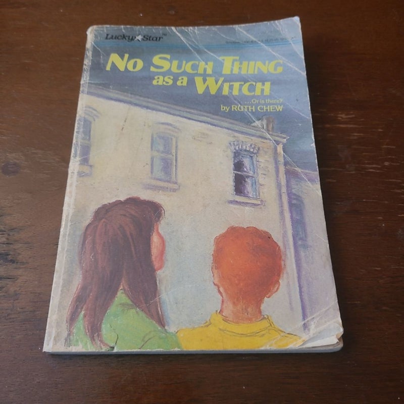 A Matter-Of-Fact Magic Book: No Such Thing As a Witch