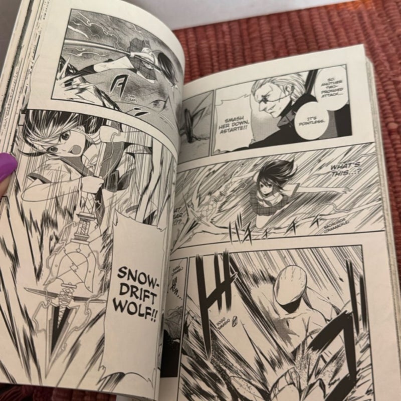 Strike the Blood, Vol. 3 (manga)