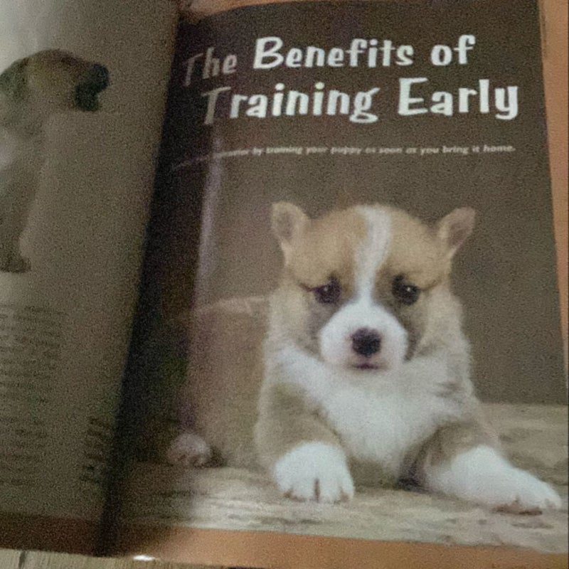 Training your puppy