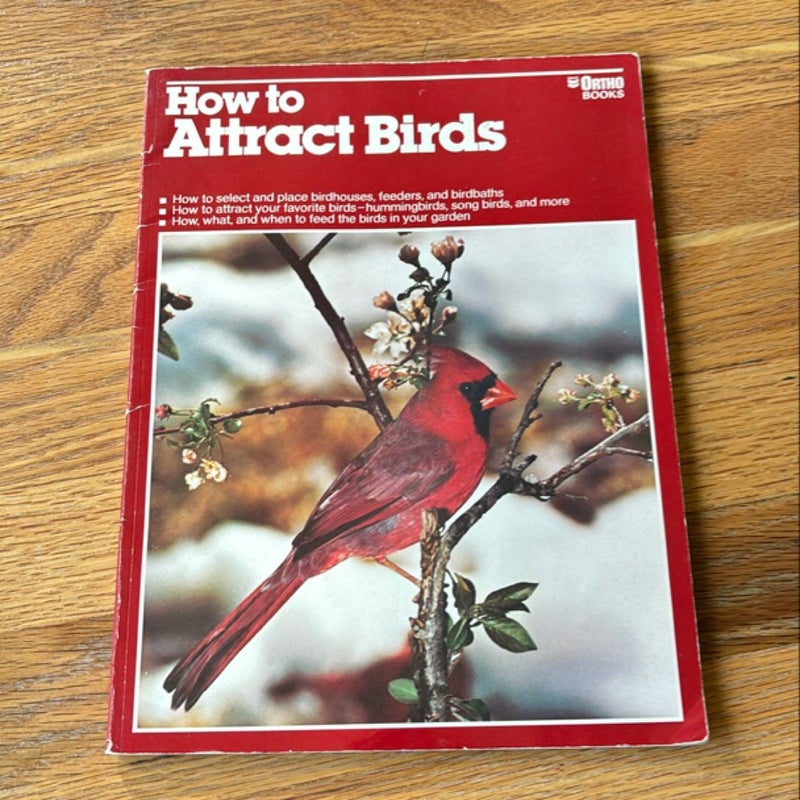 How to Attract Birds