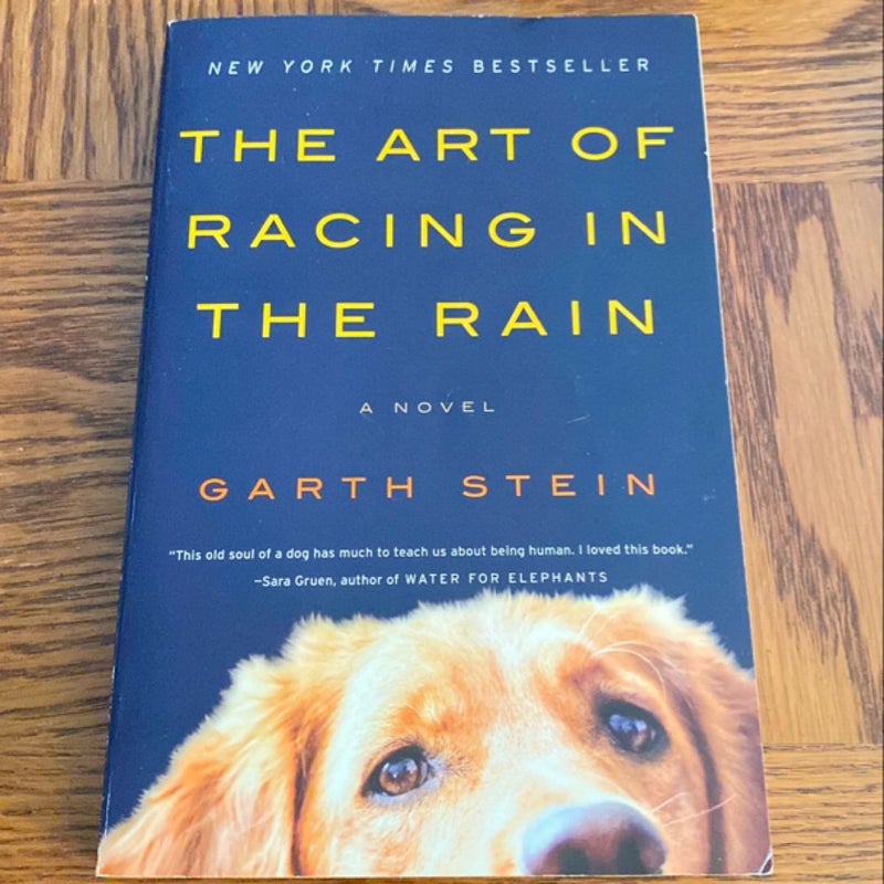 The Art of Racing in the Rain