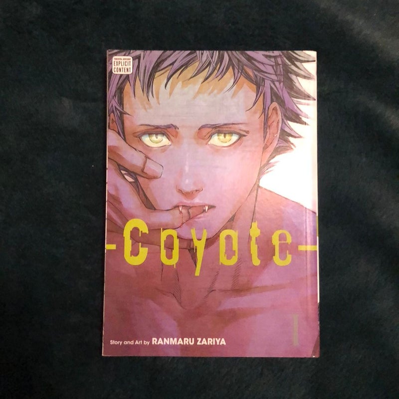 Coyote, Vol. 1