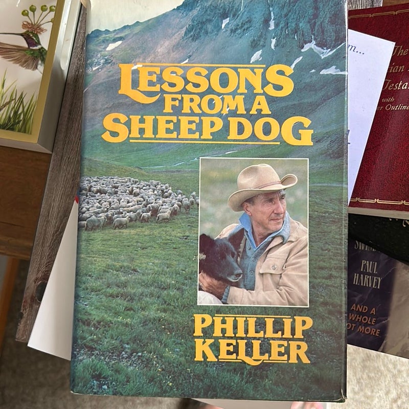 Lessons from a sheep dog