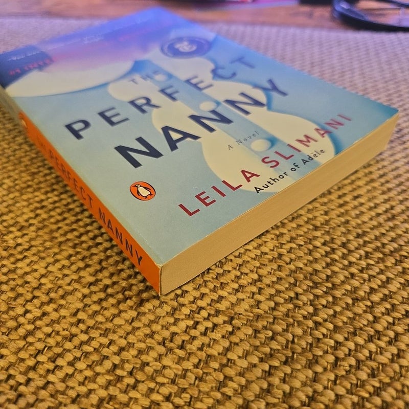 The Perfect Nanny