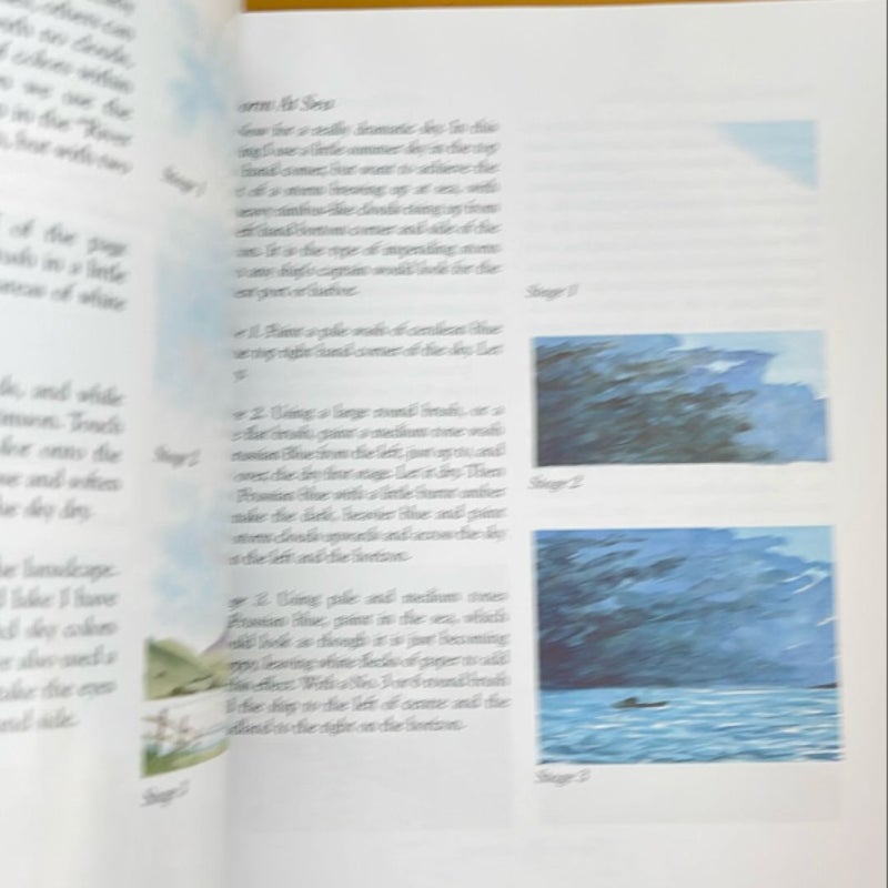 Watercolor: A Step by Step Guide for Art Enthusiasts