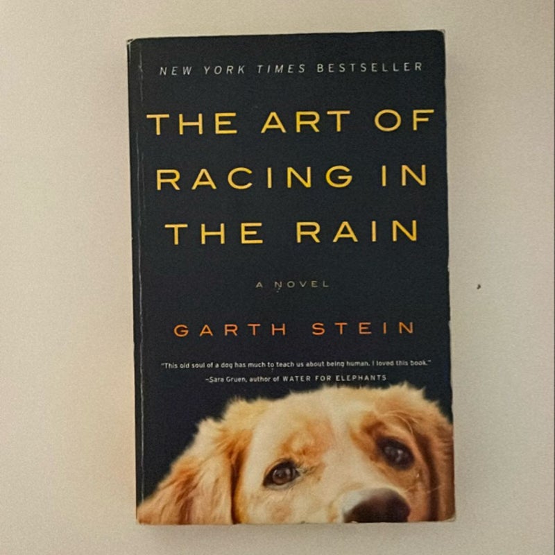 The Art of Racing in the Rain