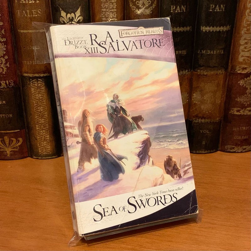 Forgotten Realms: Sea of Swords, Legend of Drizzt, Paths of Darkness 3