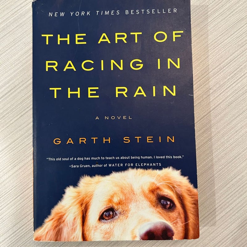 The Art of Racing in the Rain