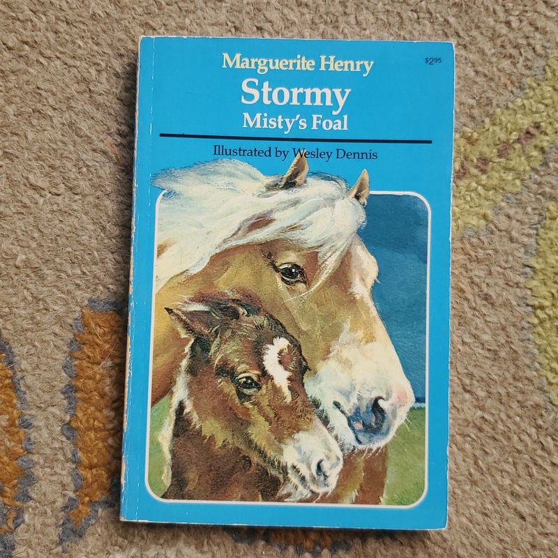 Stormy, Misty's Foal 