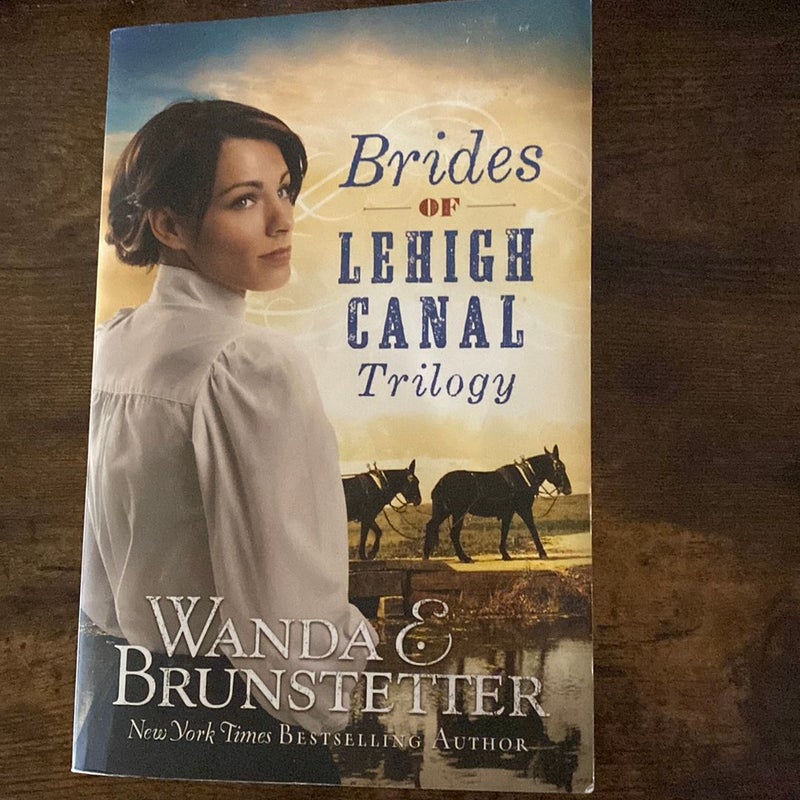 Brides of Lehigh Canal Trilogy