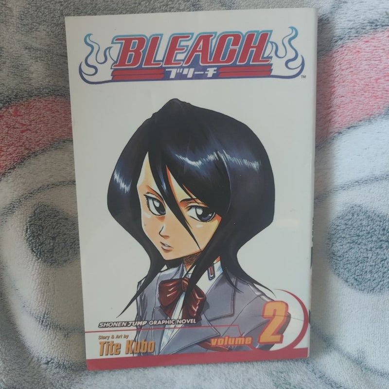 Bleach, Vol. 2