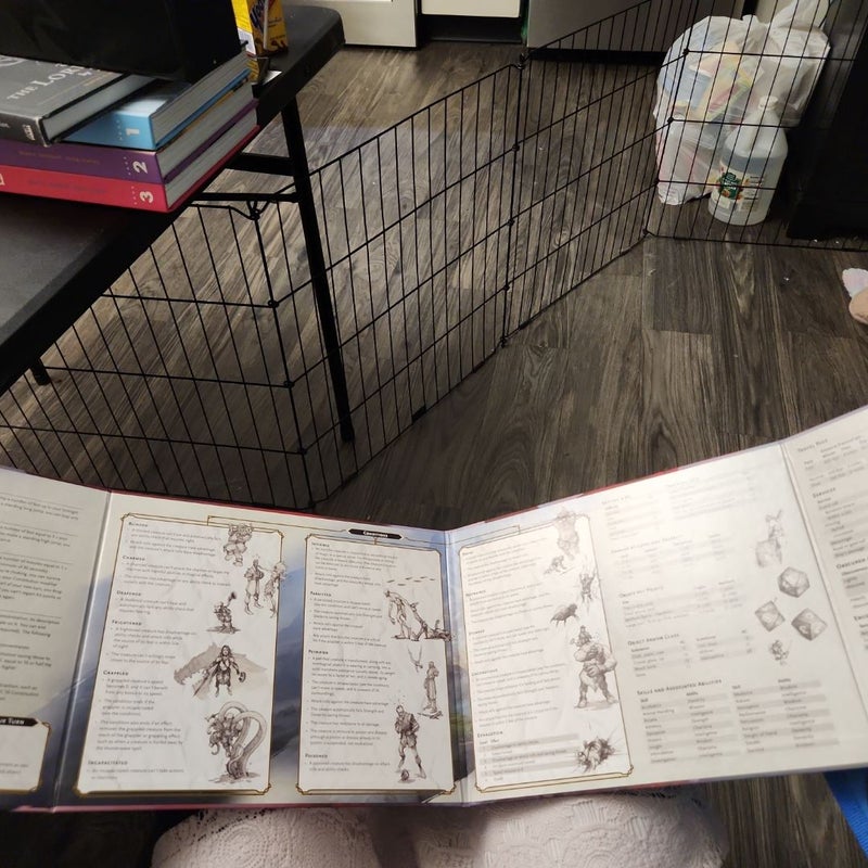Dungeons and Dragons Core Rulebooks Gift Set (Special Foil Covers Edition with Slipcase, Player's Handbook, Dungeon Master's Guide, Monster Manual, DM Screen)