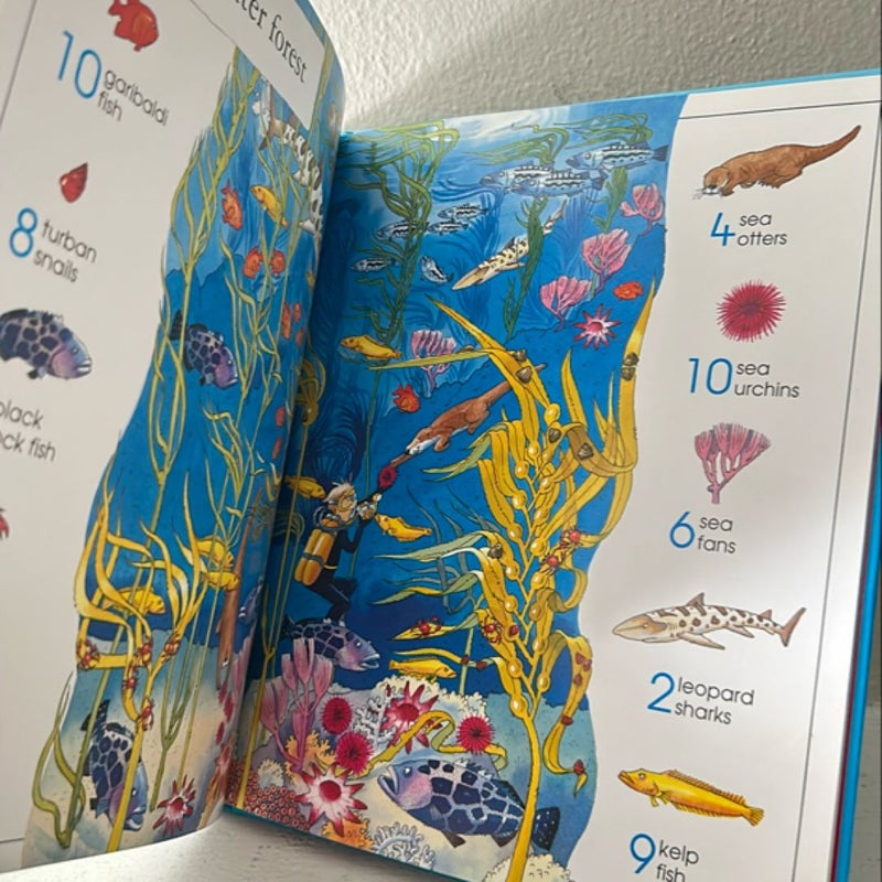 1001 Things to Spot in the Sea