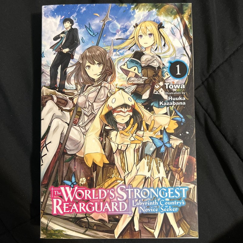 The World's Strongest Rearguard: Labyrinth Country's Novice Seeker, Vol. 1 (light Novel)