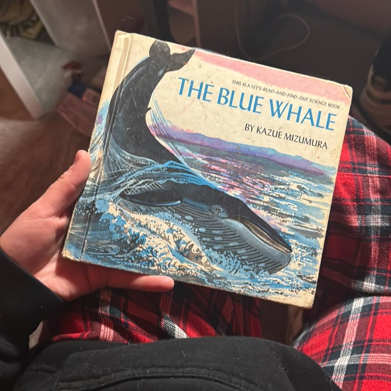 The blue whale 