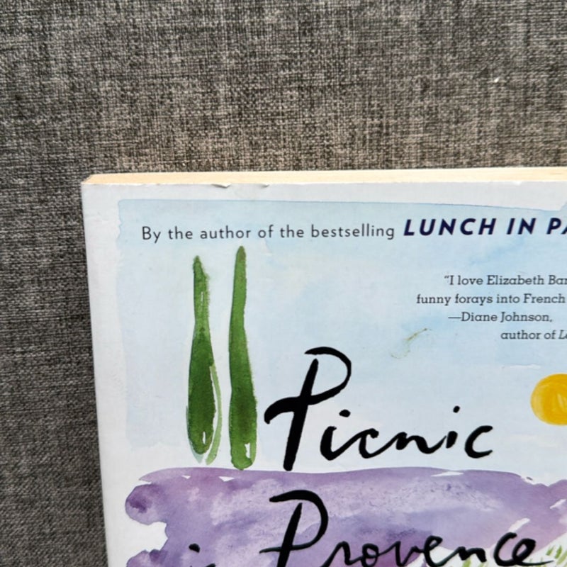 Picnic in Provence