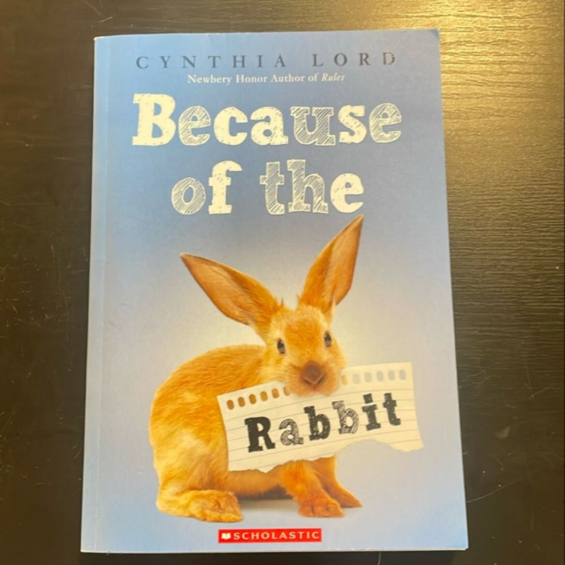 Because of the Rabbit