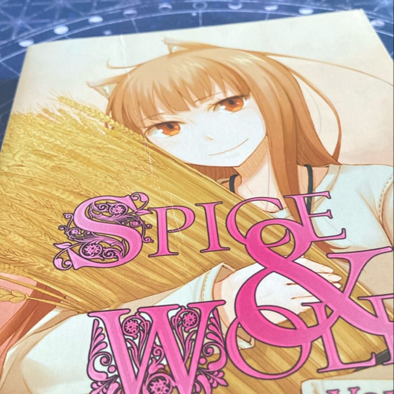 Spice and Wolf, Vol. 13 (light Novel)