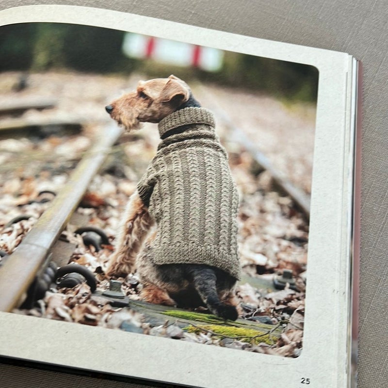 Sweaters for Dogs