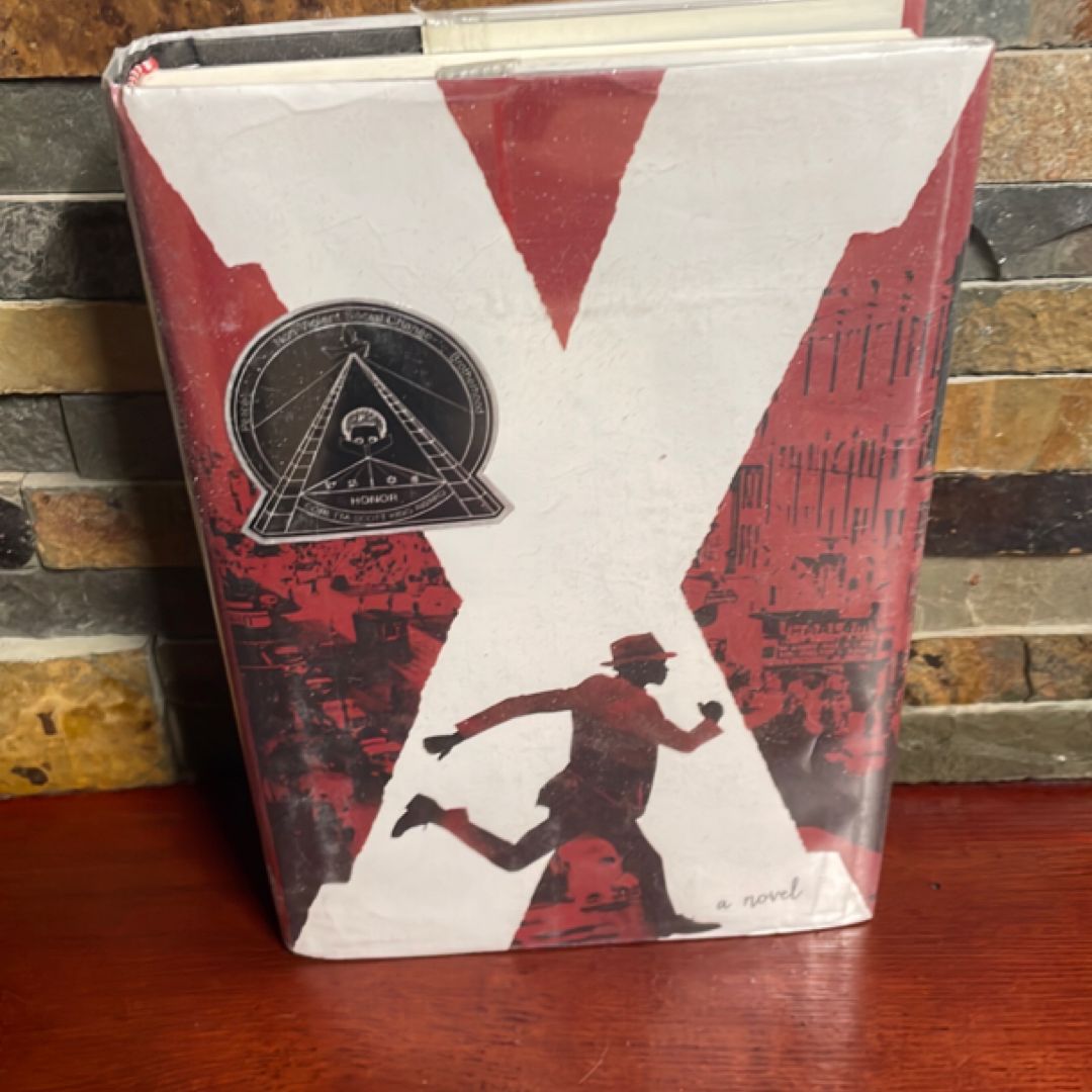 X: a Novel