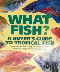 A Buyers Guide To Tropical Fish