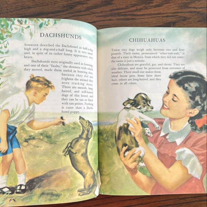 Children’s Guide To Knowledge 