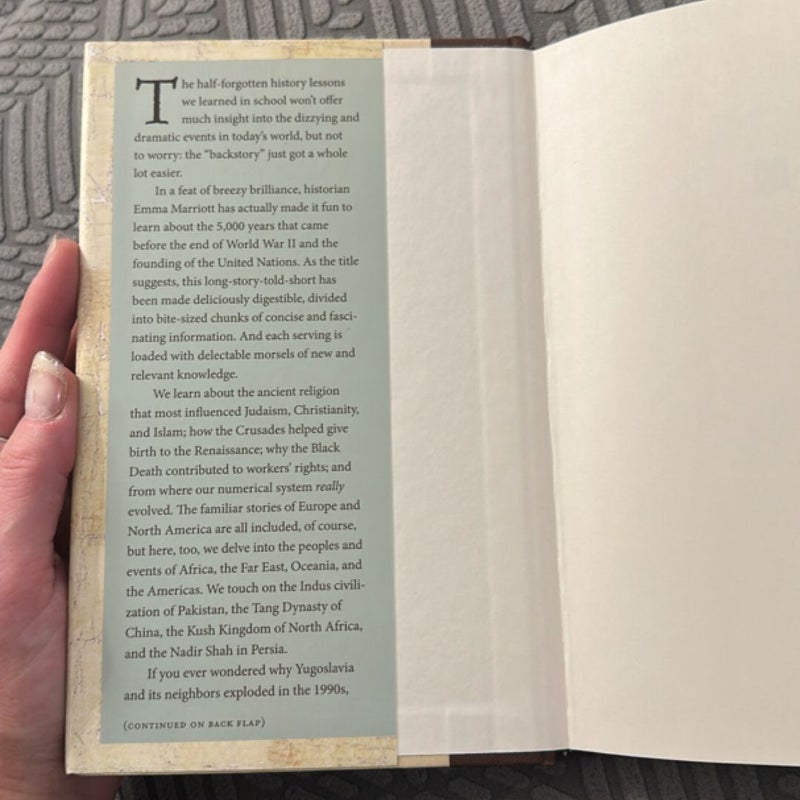 The History of the World in Bite-Sized Chunks