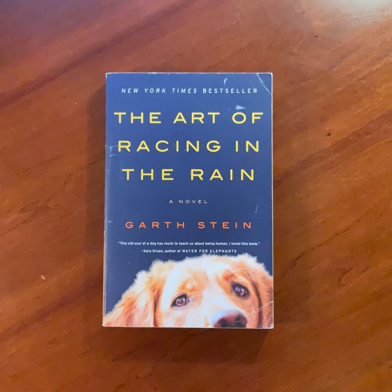 The Art of Racing in the Rain