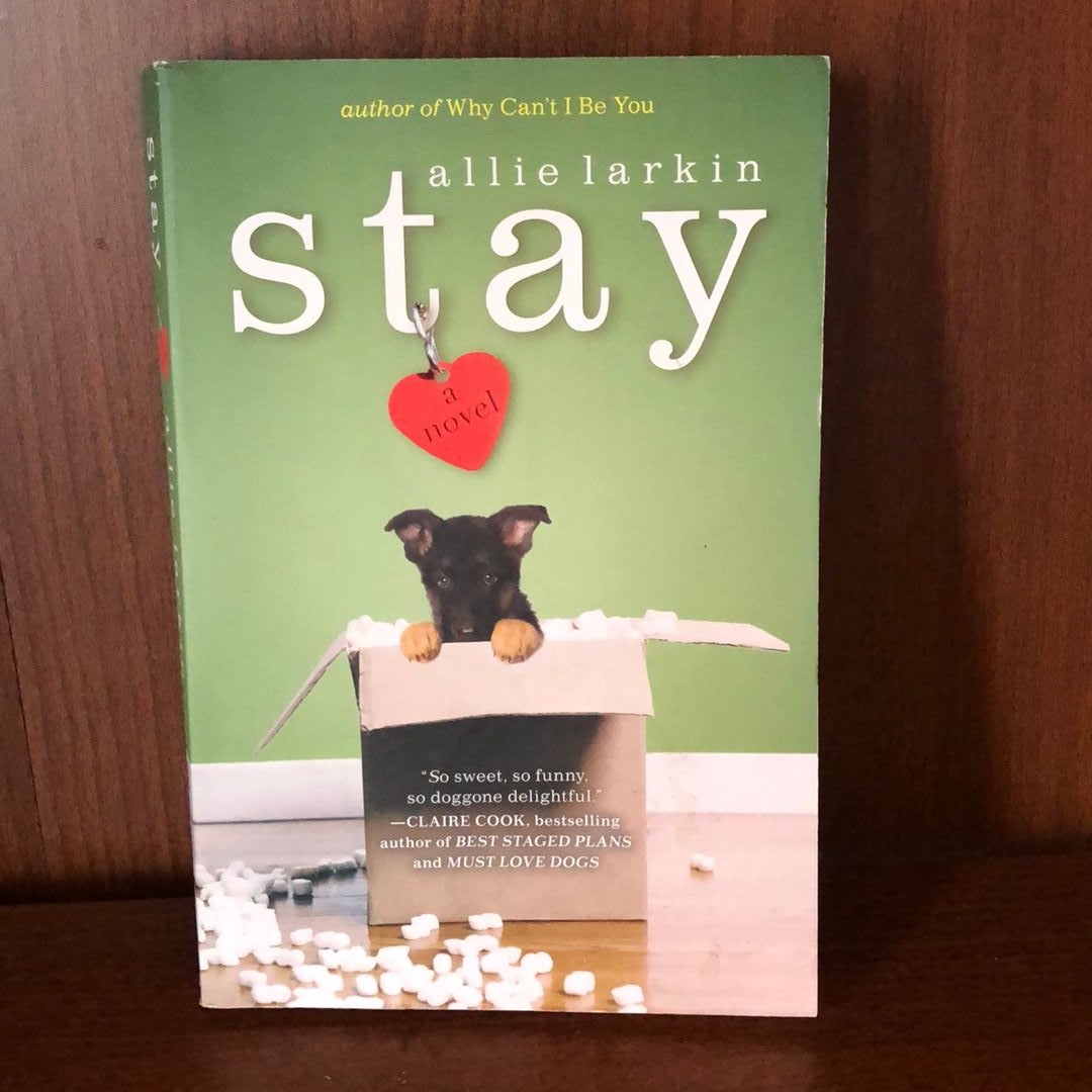 Stay