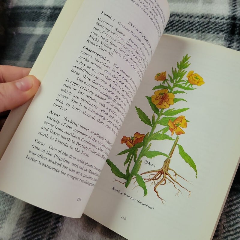 Field Guide to Medicinal Wild Plants