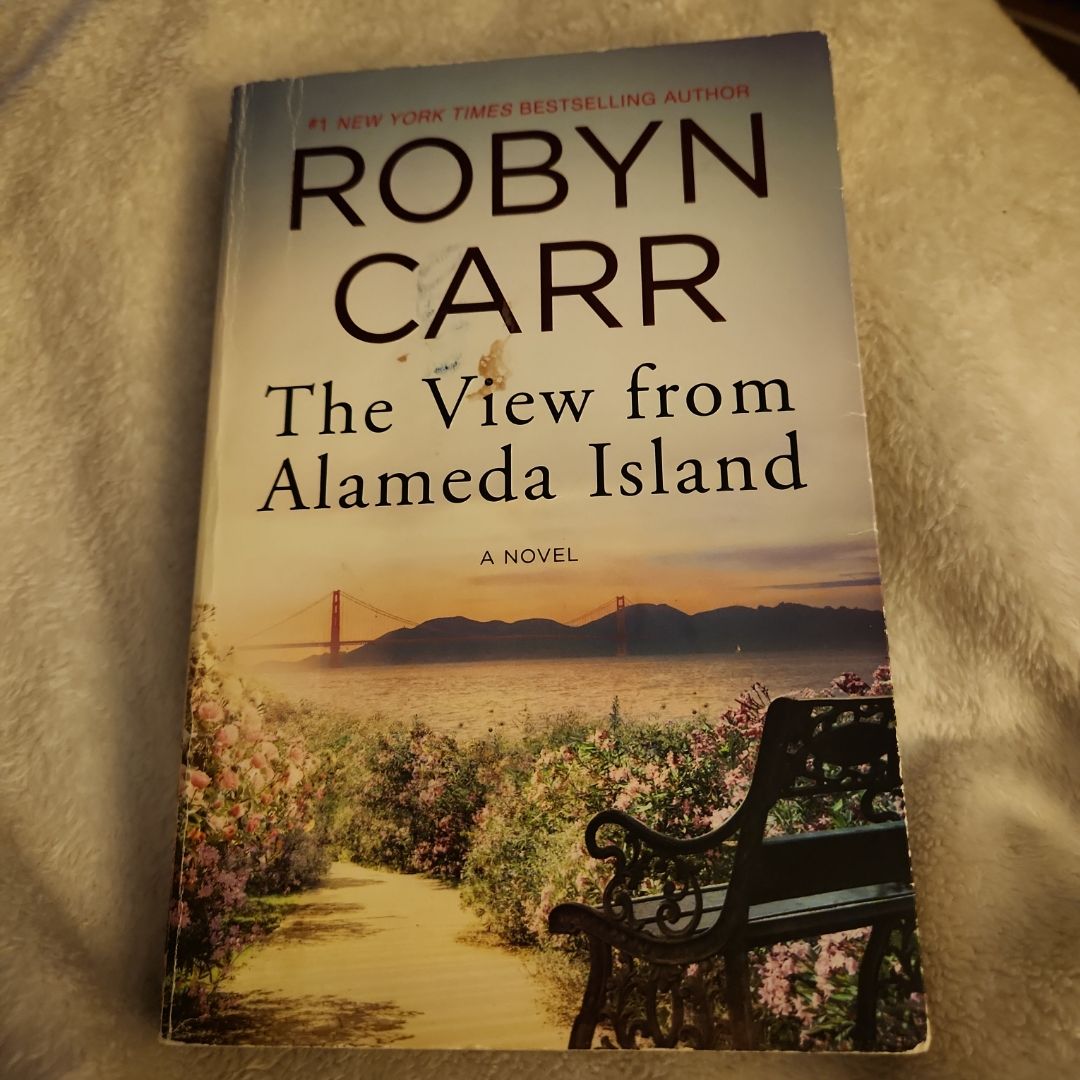 The View from Alameda Island