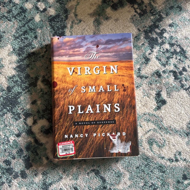 The Virgin of Small Plains