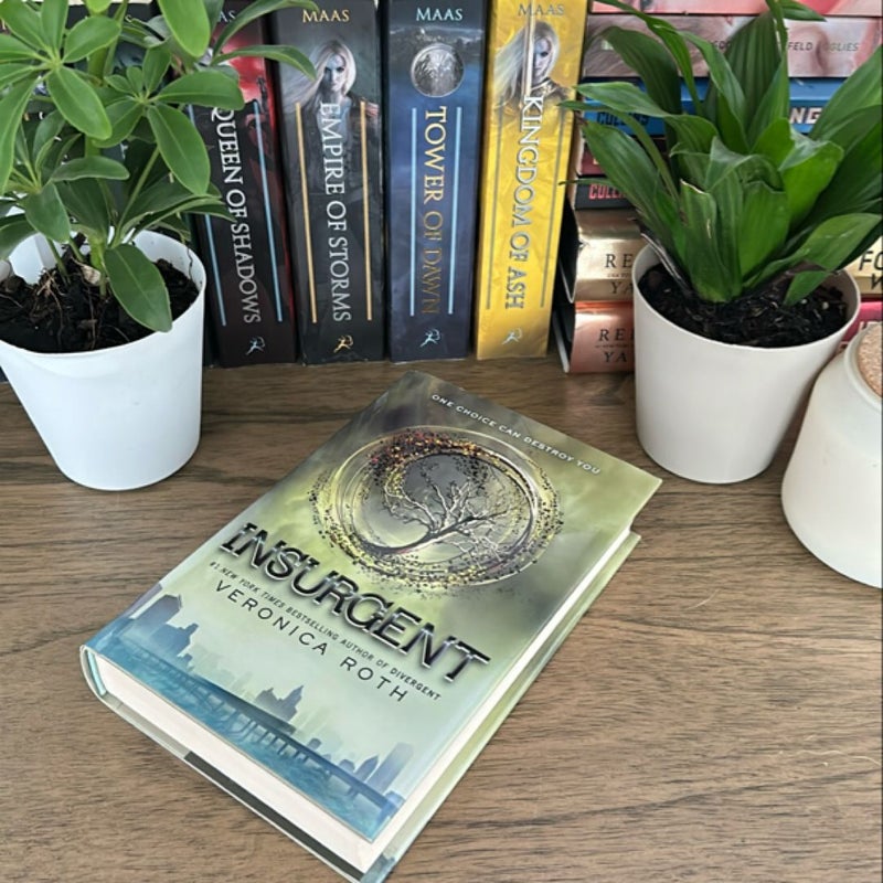 Insurgent