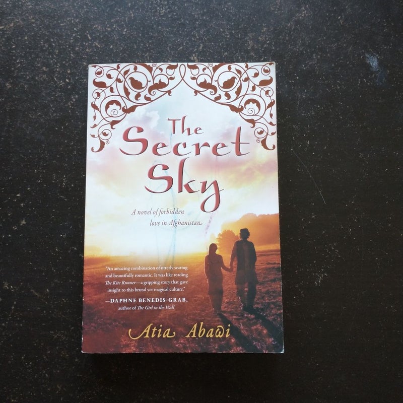 The Secret Sky