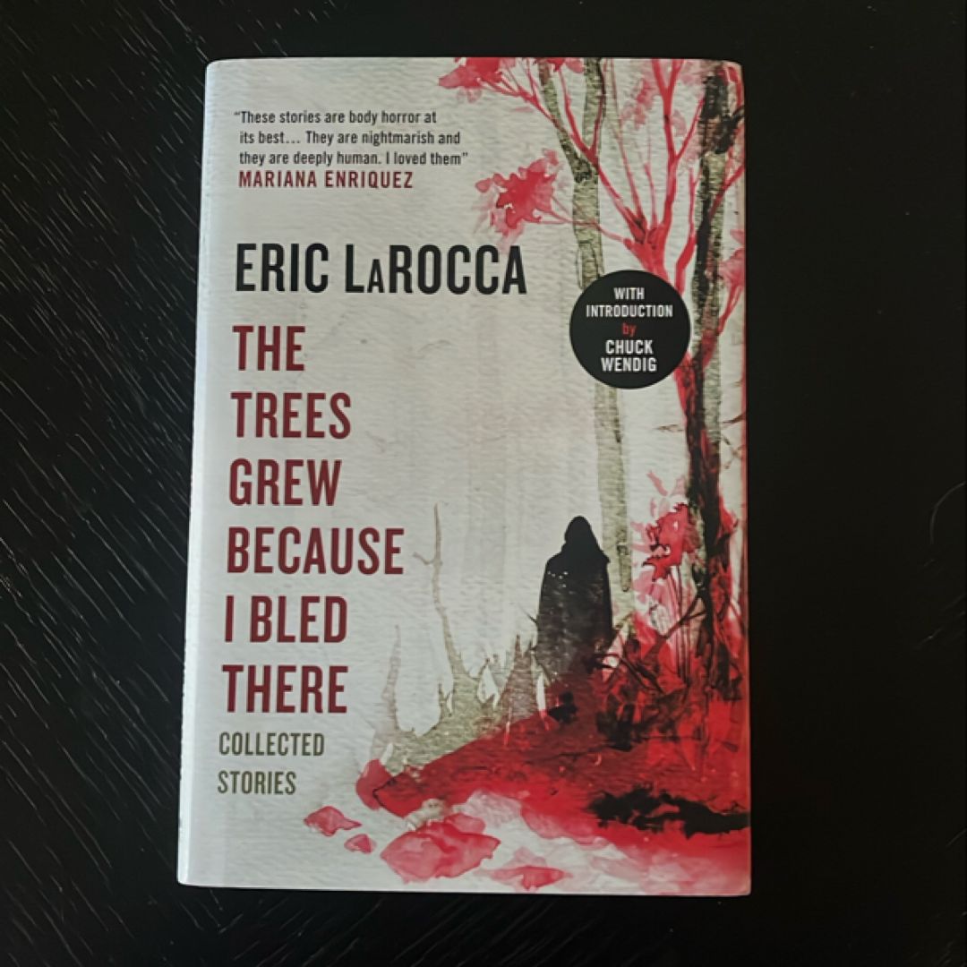 Sale image for 185700fe-82b7-40bc-865c-311ef228128e-NoaLrz4kJBM7BZjeSaPp37yJK0o1