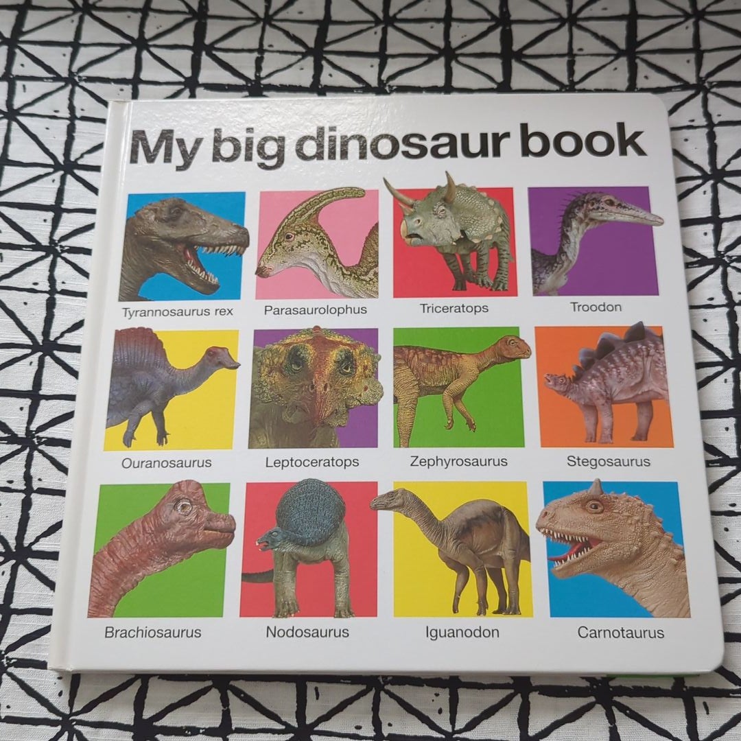 My Big Dinosaur Book