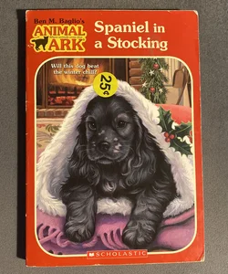 Spaniel in a Stocking