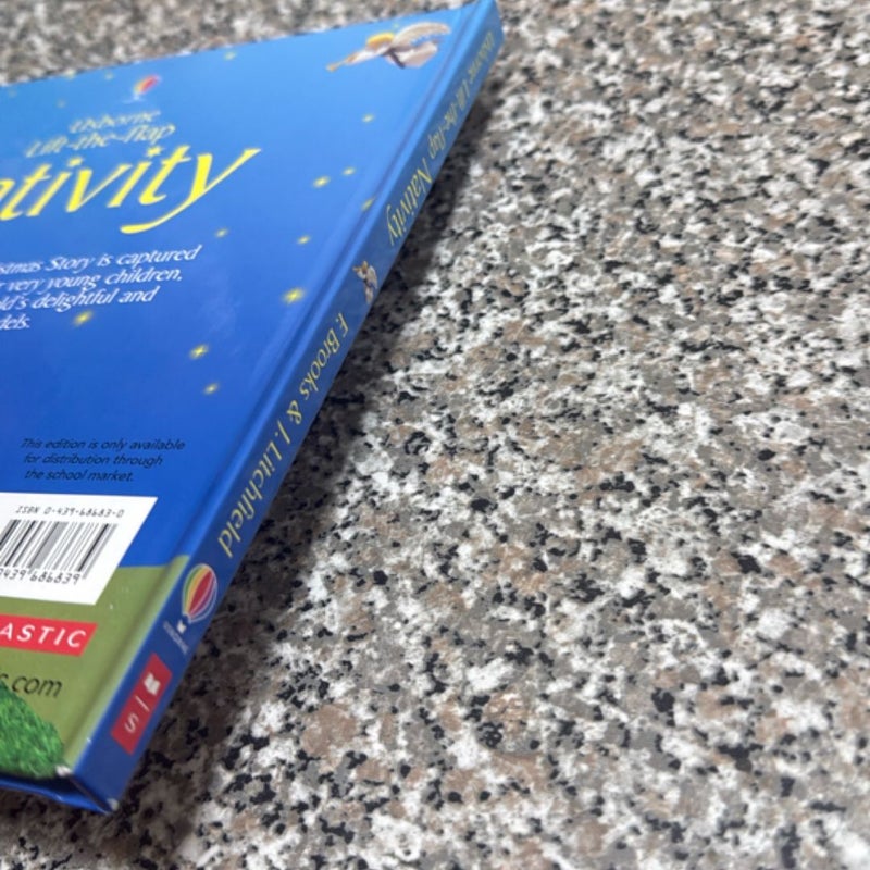 Usborne Lift-The-Flap Nitivity