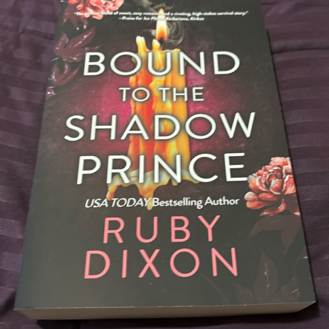 Bound to the Shadow Prince