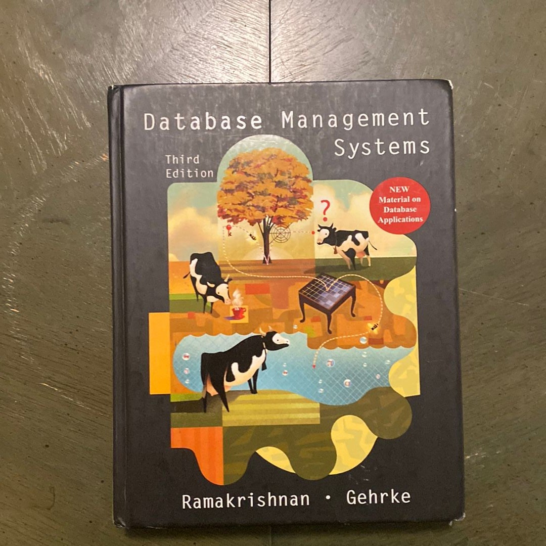 Database Management Systems by Raghu Ramakrishnan, Hardcover | Pangobooks